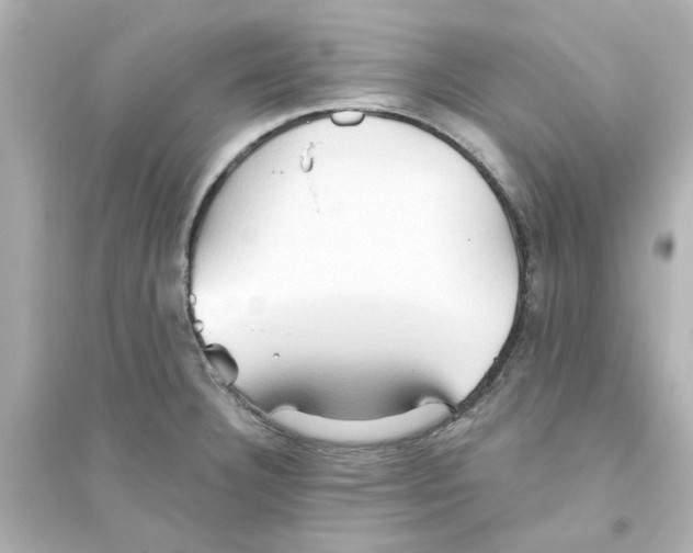 X0000093561332200711121005