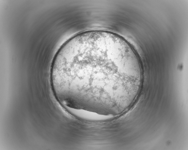 X0000093561333200711121005