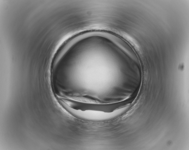 X0000093561334200711121005