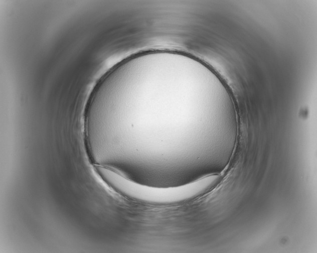 X0000093561335200711121005