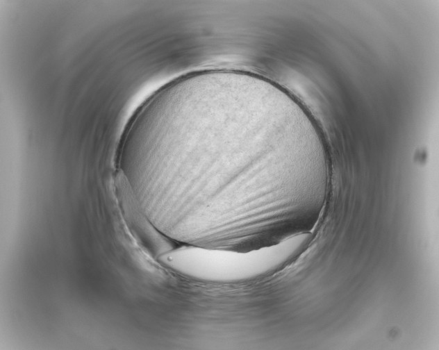 X0000093561336200711121006