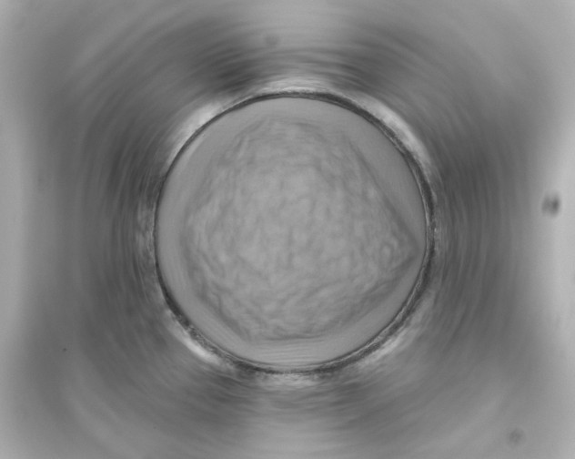 X0000093561337200711121006