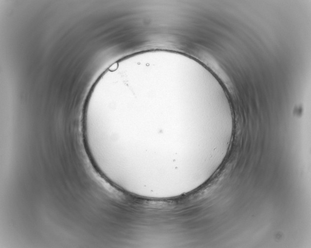 X0000093561339200711121006