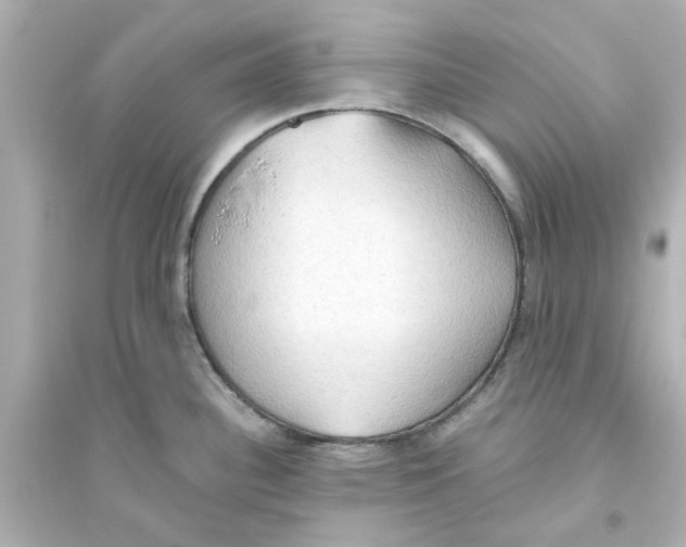 X0000093561340200711121006
