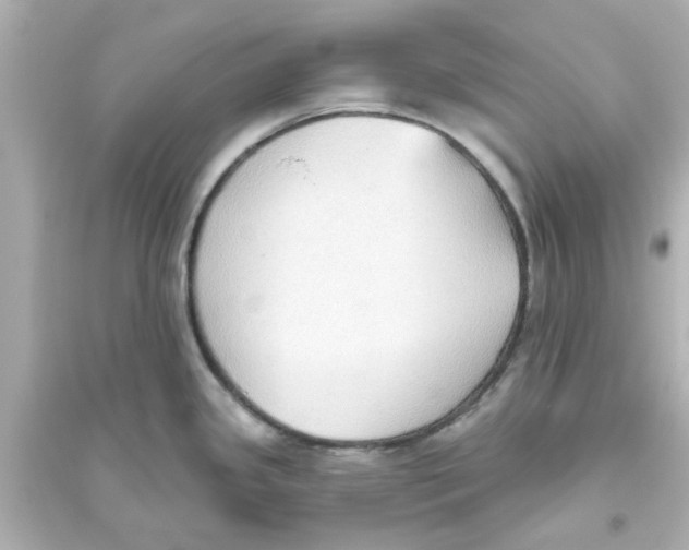X0000093561341200711121006