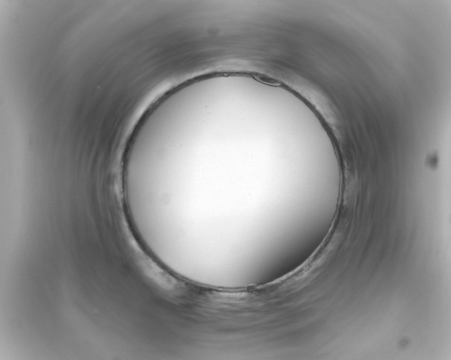 X0000093561342200711121006