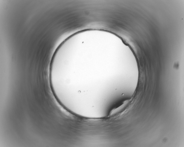 X0000093561343200711121006
