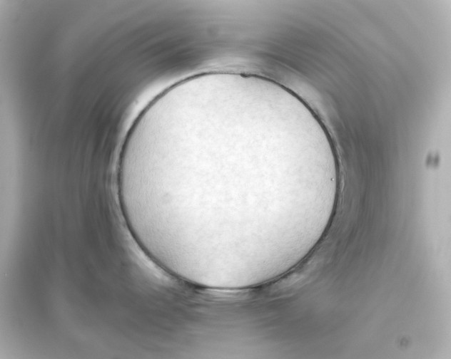 X0000093561344200711121006