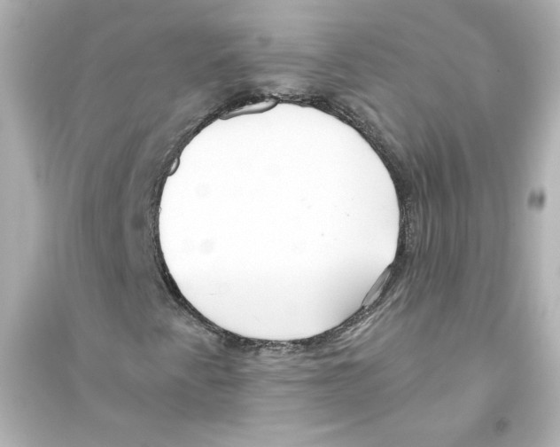 X0000093561345200711121005