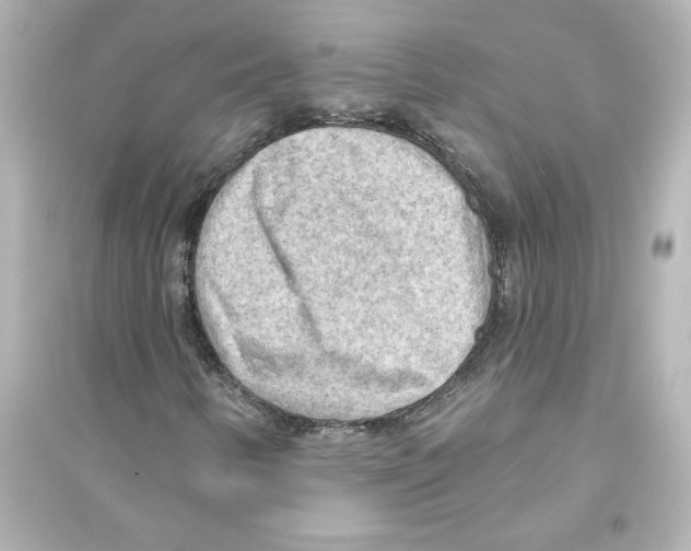 X0000093561346200711121005