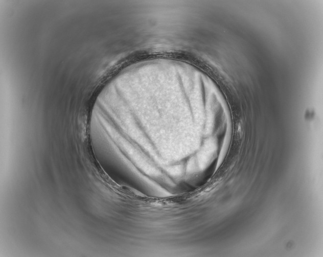X0000093561348200711121005
