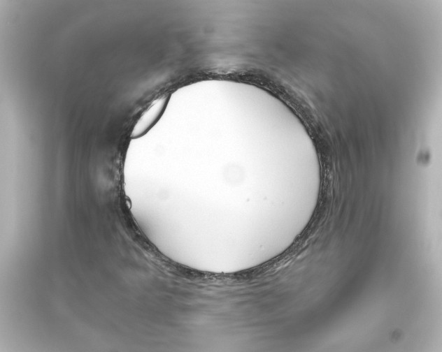 X0000093561349200711121005