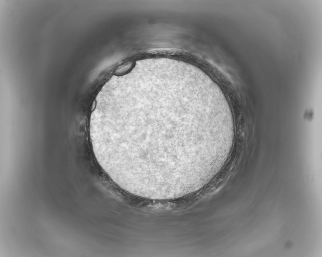 X0000093561351200711121005
