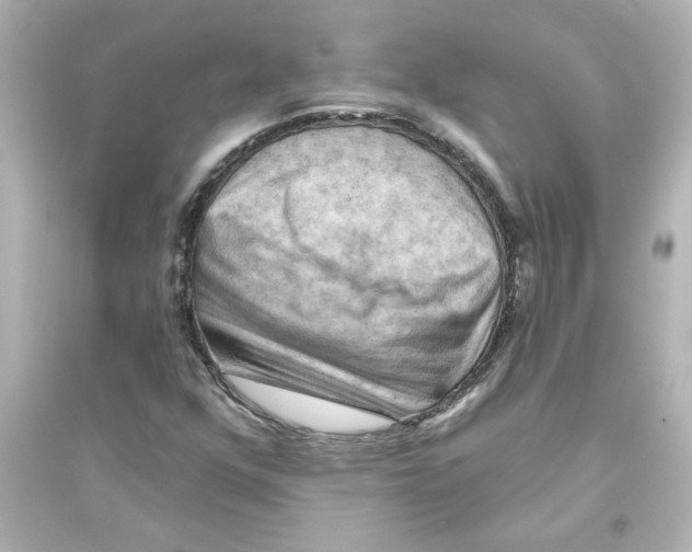X0000093561352200711121005