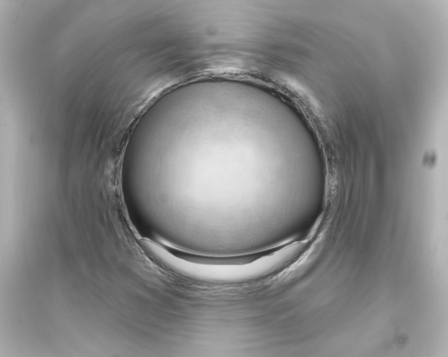 X0000093561353200711121005