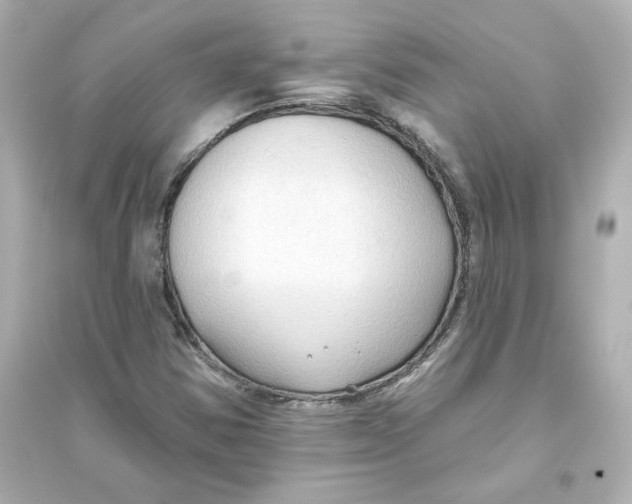 X0000093561354200711121005