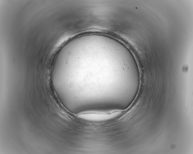 X0000093561355200711121005