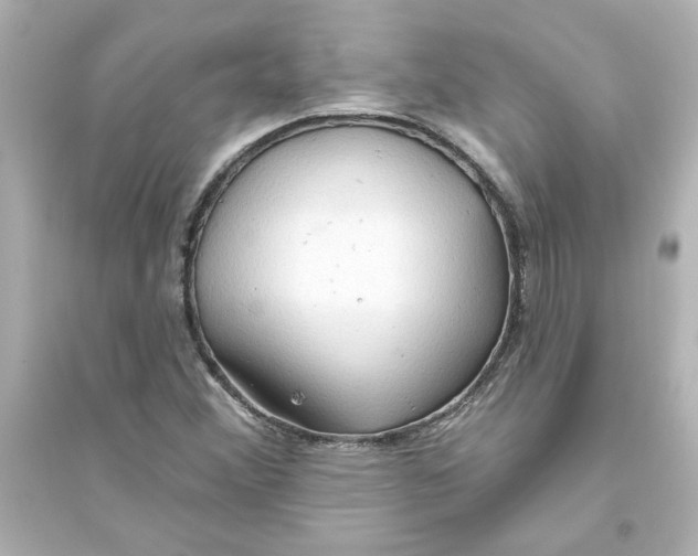 X0000093561356200711121005