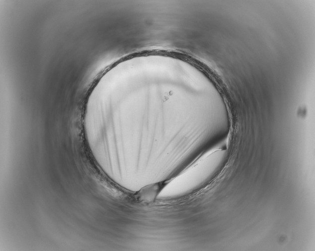 X0000093561359200711121005