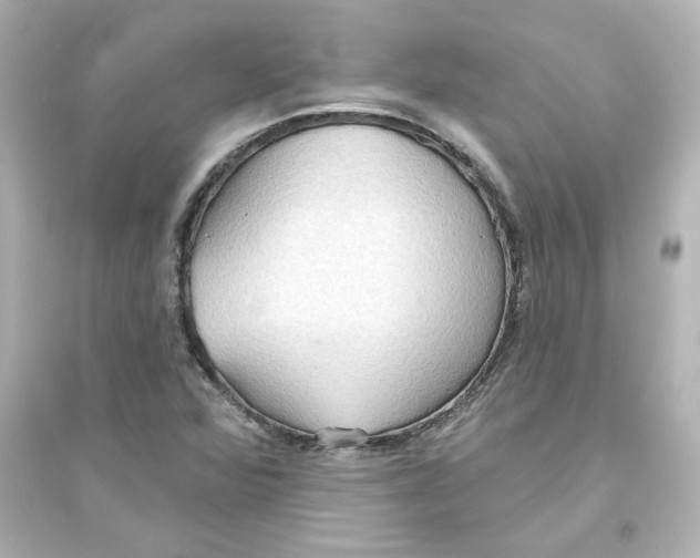 X0000093561360200711121005