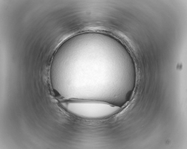 X0000093561361200711121005