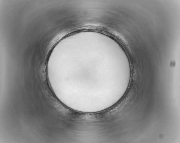 X0000093561362200711121005