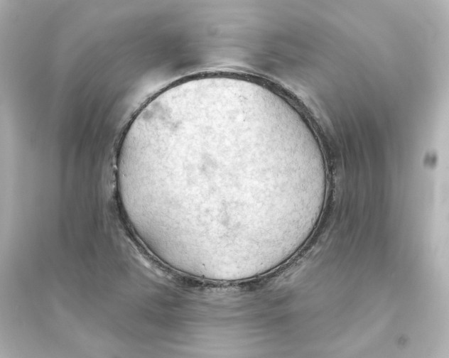 X0000093561363200711121005
