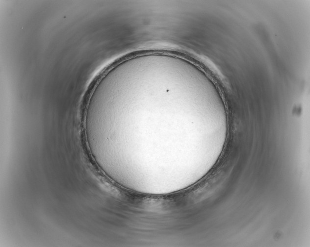 X0000093561364200711121005