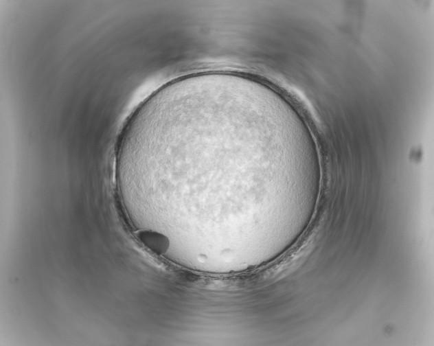 X0000093561365200711121005
