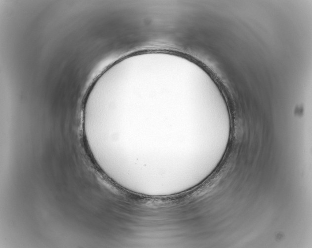 X0000093561366200711121005