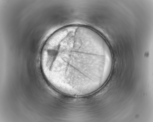 X0000093561367200711121005