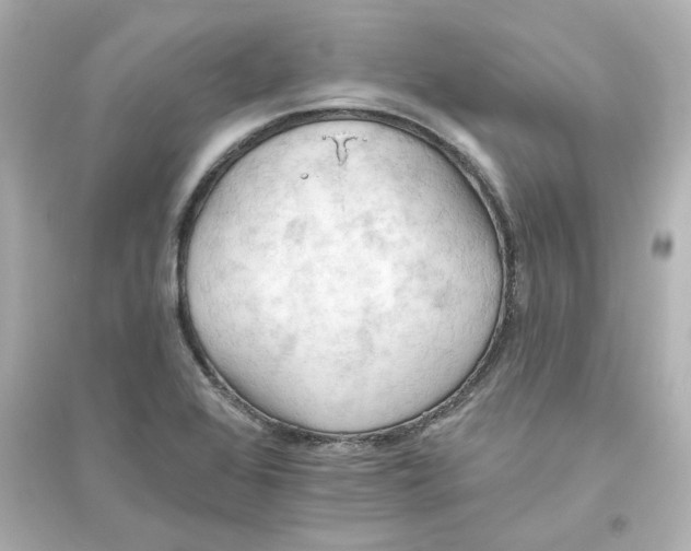 X0000093561368200711121005