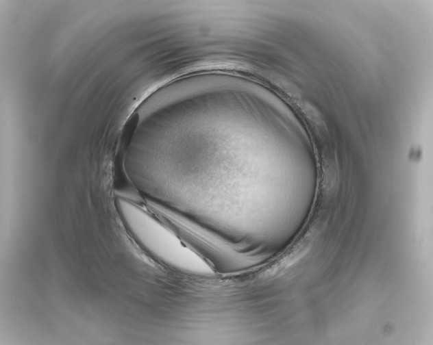 X0000093561369200711121005