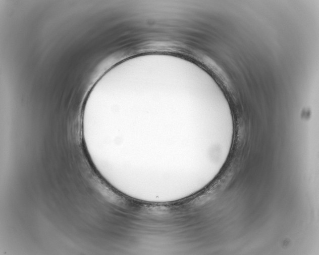 X0000093561370200711121005
