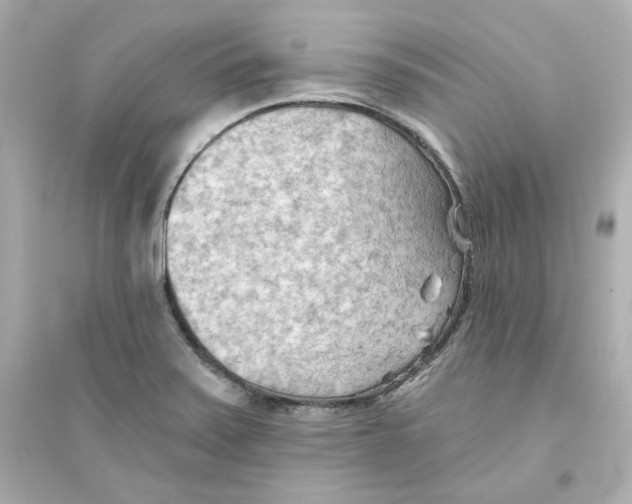 X0000093561371200711121005