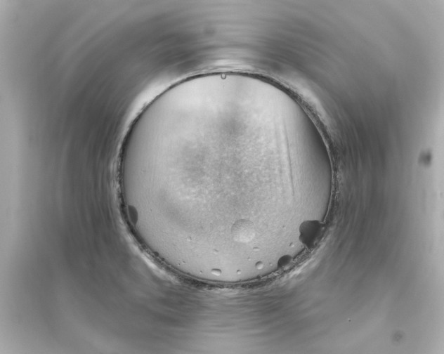 X0000093561373200711121005
