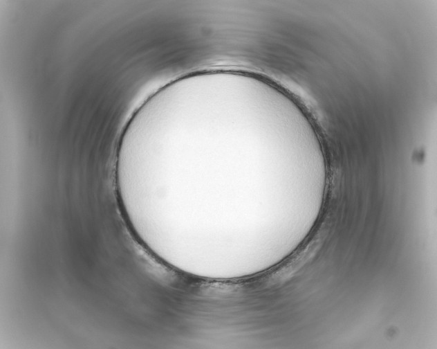 X0000093561374200711121005