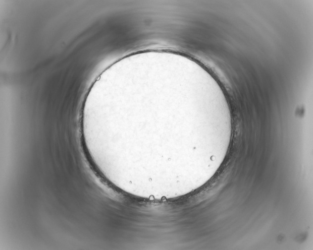 X0000093561375200711121005