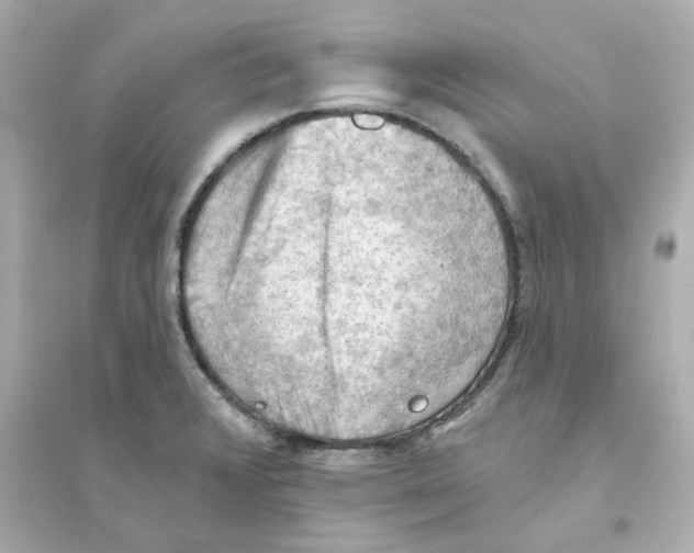 X0000093561376200711121005