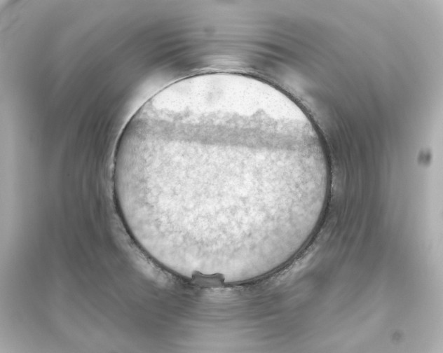 X0000093561378200711121005