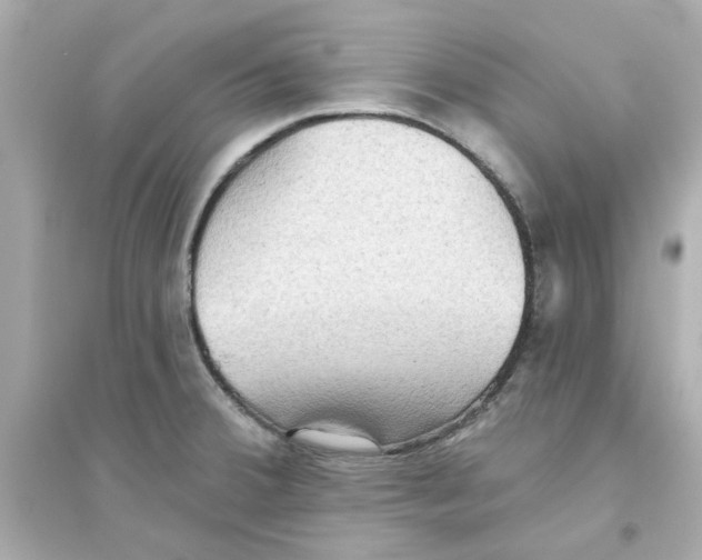 X0000093561380200711121004