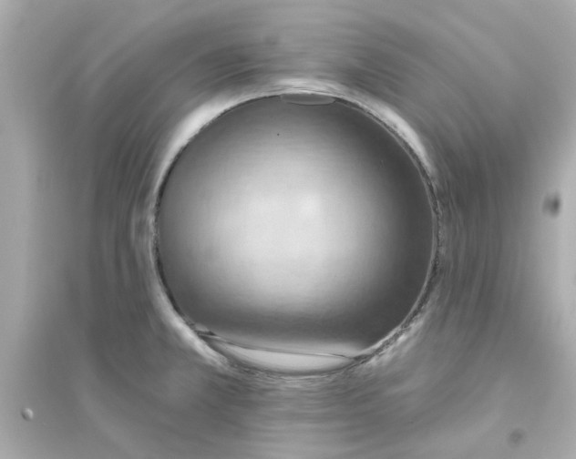 X0000093561381200711121004