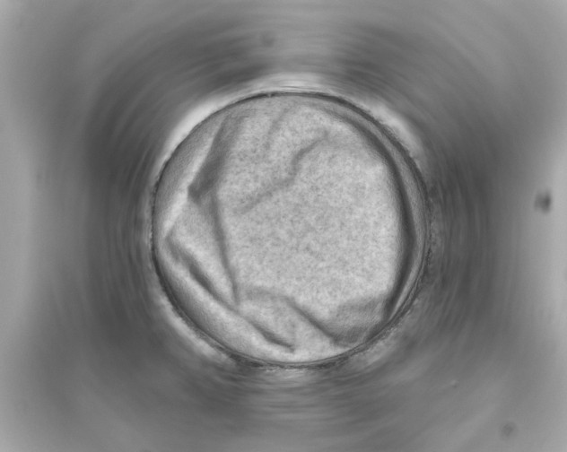 X0000093561382200711121004