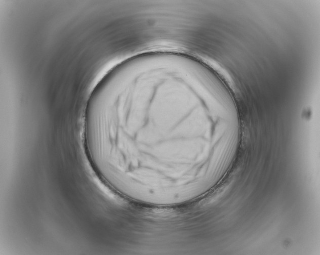 X0000093561383200711121004
