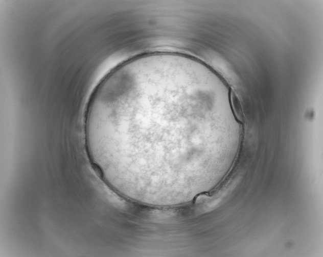X0000093561384200711121004