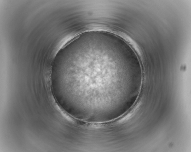X0000093561385200711121004