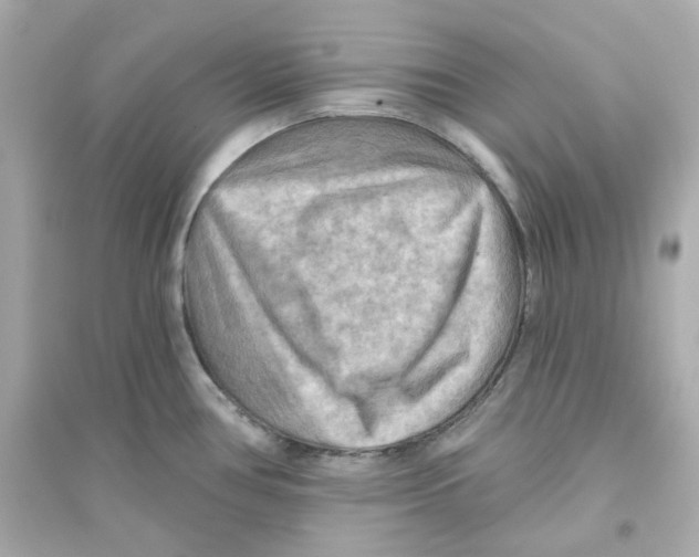 X0000093561386200711121004