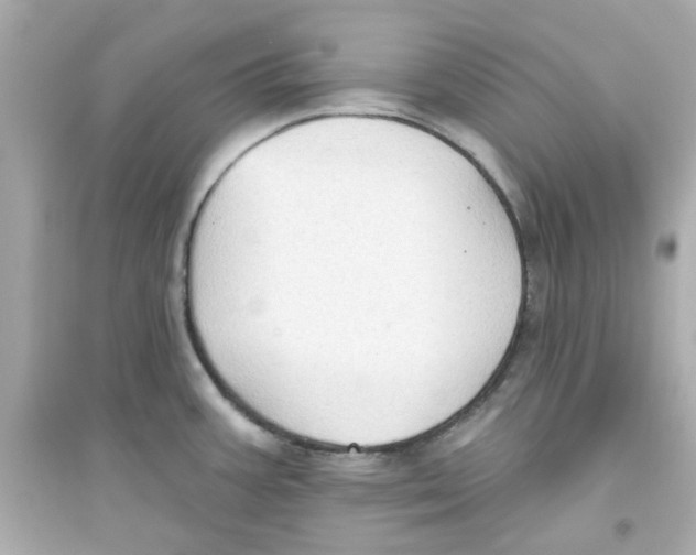 X0000093561387200711121004