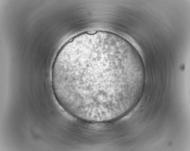 X0000093561388200711121004