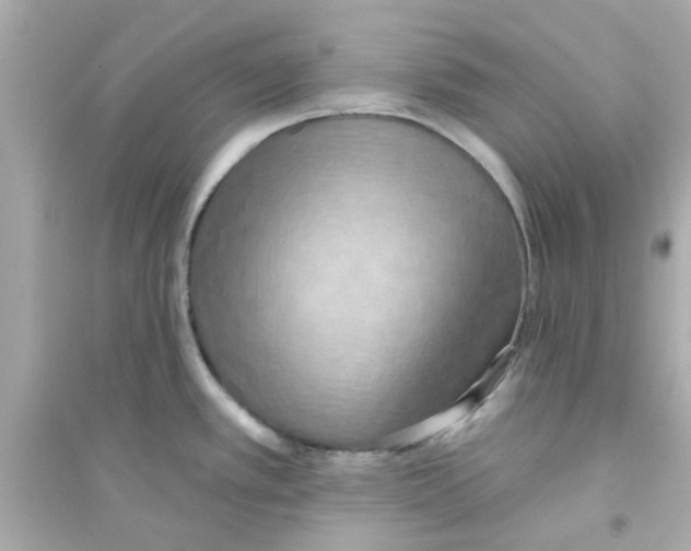 X0000093561389200711121004